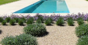 img-ibiza